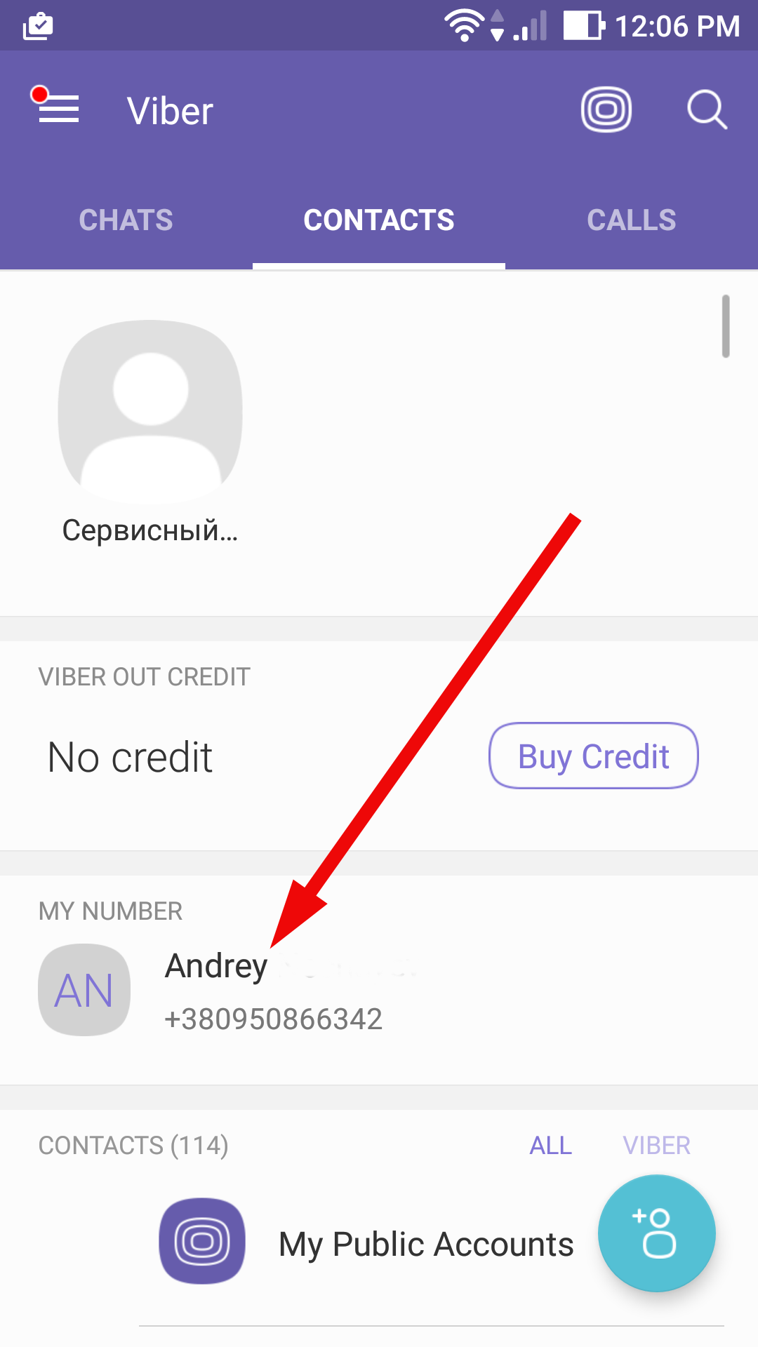 viber account number sample